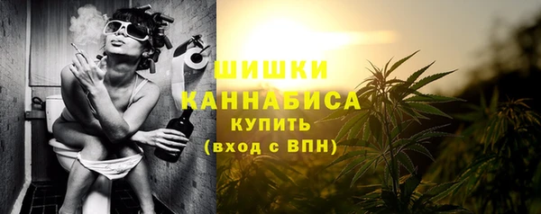ECSTASY Елизово