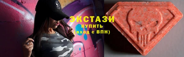 ECSTASY Елизово
