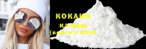 Альфа ПВП Ельня